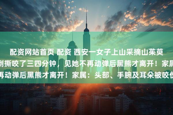 配资网站首页 配资 西安一女子上山采摘山茱萸，突然被黑熊从身后扑倒撕咬了三四分钟，见她不再动弹后黑熊才离开！家属：头部、手腕及耳朵被咬伤