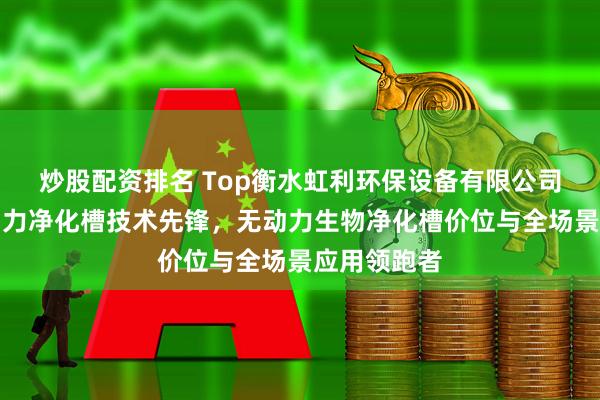 炒股配资排名 Top衡水虹利环保设备有限公司：小型无动力净化槽技术先锋，无动力生物净化槽价位与全场景应用领跑者