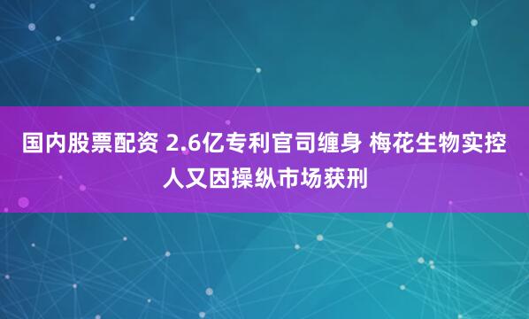 国内股票配资 2.6亿专利官司缠身 梅花生物实控人又因操纵市场获刑